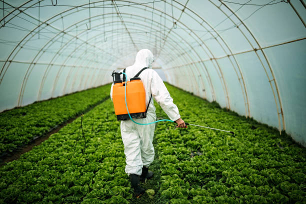 Best Pest Inspection Near Me  in Evergreen, AL