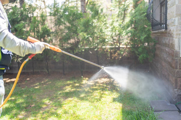 Best Mosquito Control Services  in Evergreen, AL