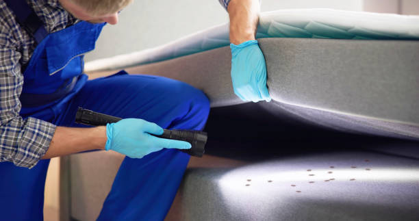 Best Emergency Pest Control  in Evergreen, AL