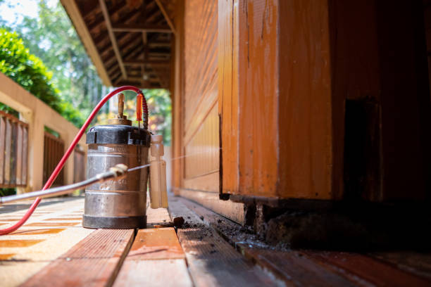 Best Affordable Exterminators  in Evergreen, AL