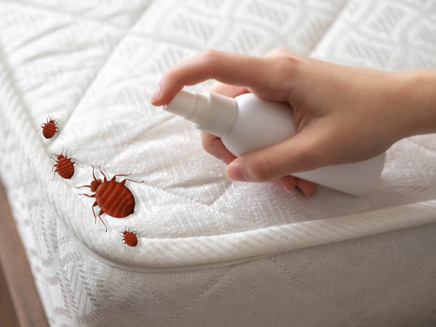 Best Pest Prevention Services  in Evergreen, AL