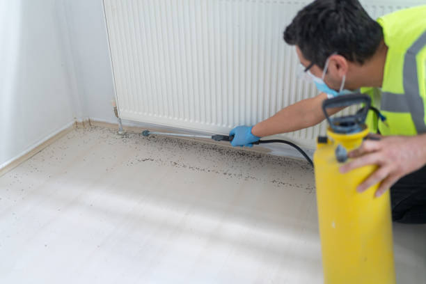 Best Flea Control Services  in Evergreen, AL