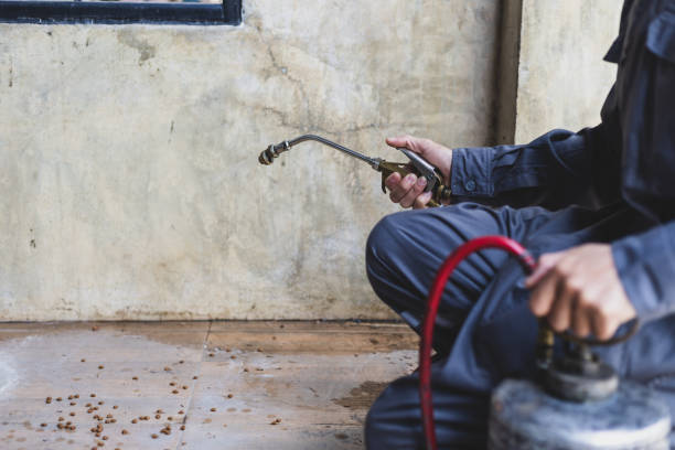 Best Pest Removal Services  in Evergreen, AL